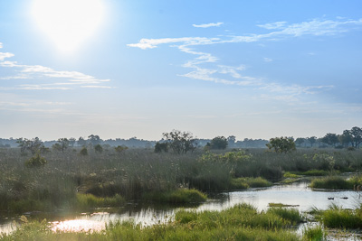 A waterway in the Okavango Delta, Botswana